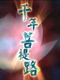千年菩提路
